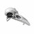 Alchemy's Rabeschadel silver and black metal belt buckle in the  infamous raven skull design.